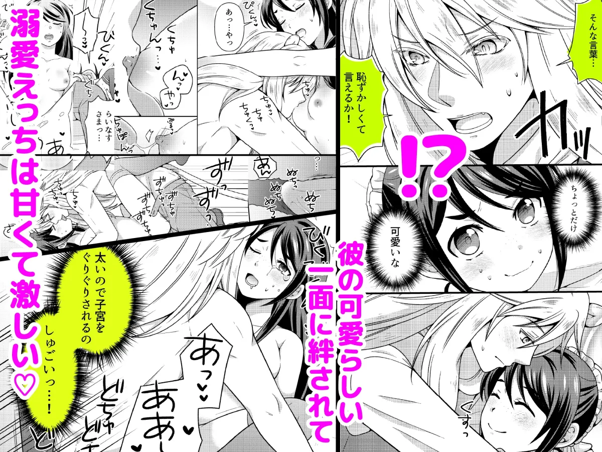 不器用な獅子は年上メイドに愛を囁く 不器用な獅子は年上メイドに愛を囁く