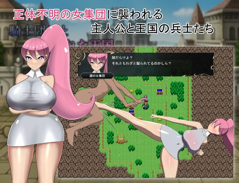 騎士団兵と狙われた王国