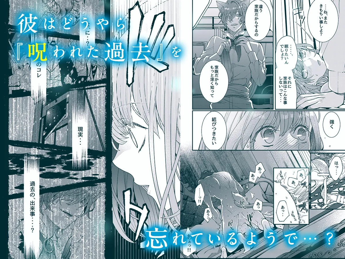 異世界転生したら呪われた独占欲猫王子ナイトに執着されました【漫画版】