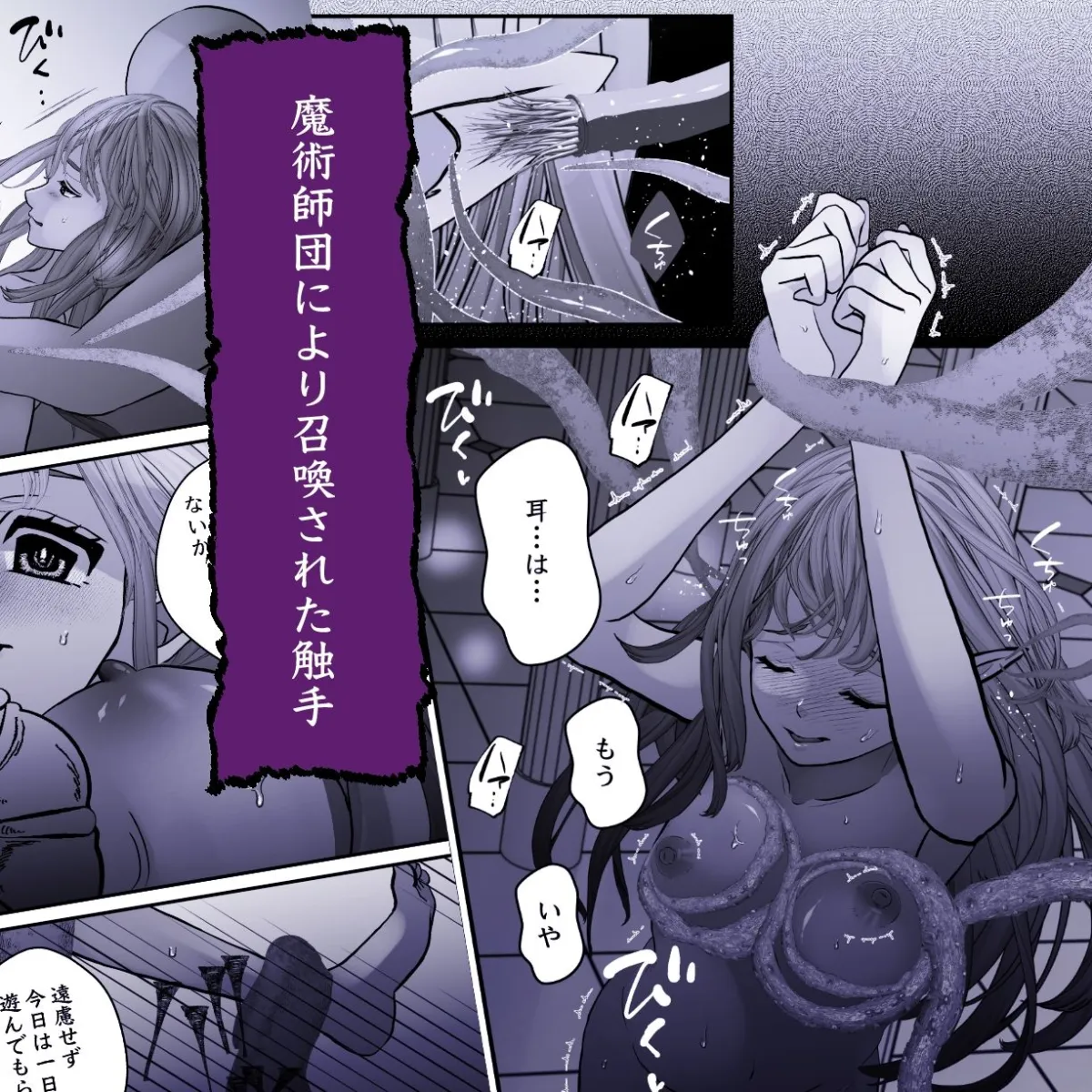 仇なす者に捕らわれて〜堕ちゆくエルフの快楽調教〜