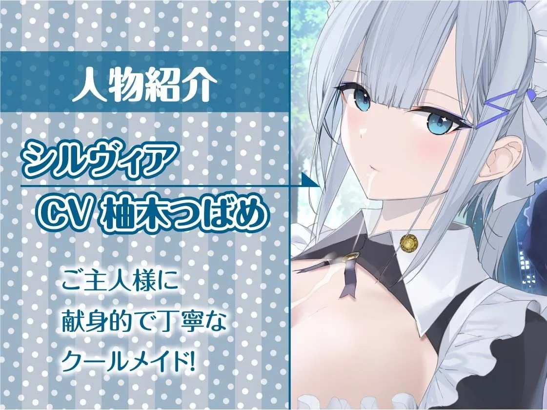 うちのクールメイドはいつでも抜いてくれる【フォーリーサウンド】 うちのクールメイドはいつでも抜いてくれる【フォーリーサウンド】