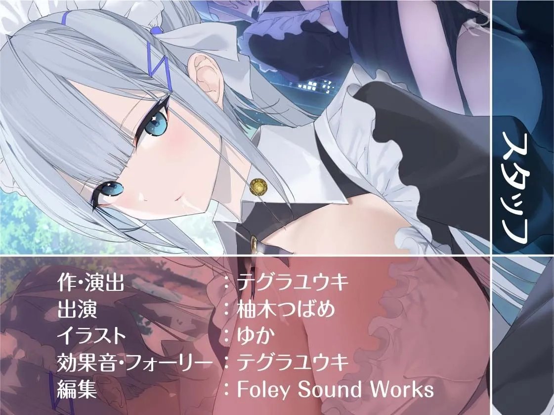 うちのクールメイドはいつでも抜いてくれる【フォーリーサウンド】 うちのクールメイドはいつでも抜いてくれる【フォーリーサウンド】