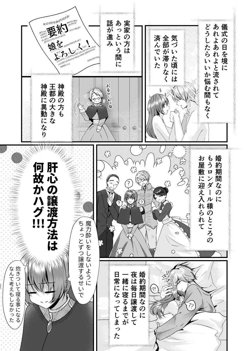 聖女召喚を成功させたらなぜか聖騎士団長様に捕まりました2 聖女召喚を成功させたらなぜか聖騎士団長様に捕まりました2