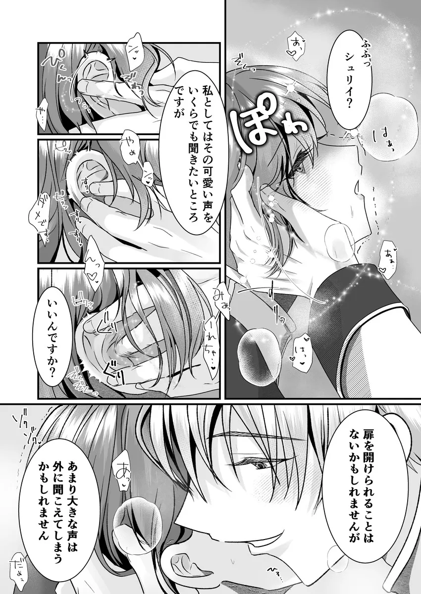 聖女召喚を成功させたらなぜか聖騎士団長様に捕まりました2 聖女召喚を成功させたらなぜか聖騎士団長様に捕まりました2