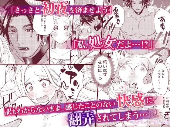 転生した悪役令嬢はHしないと死ぬ運命~敵国王と篭絡結婚~【R18版特典動画付き】 転生した悪役令嬢はHしないと死ぬ運命~敵国王と篭絡結婚~【R18版特典動画付き】