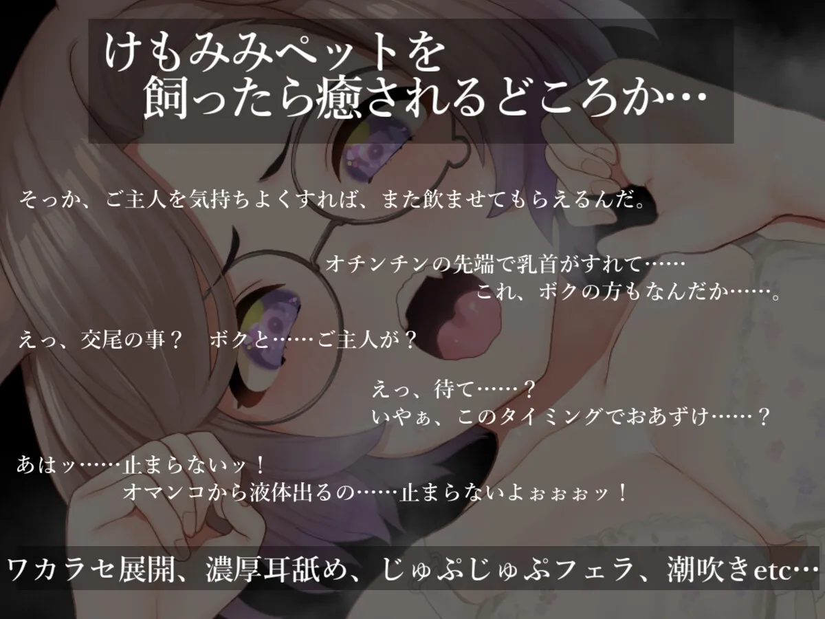 わがままボクっ娘けもみみをHな躾でワカラセる!