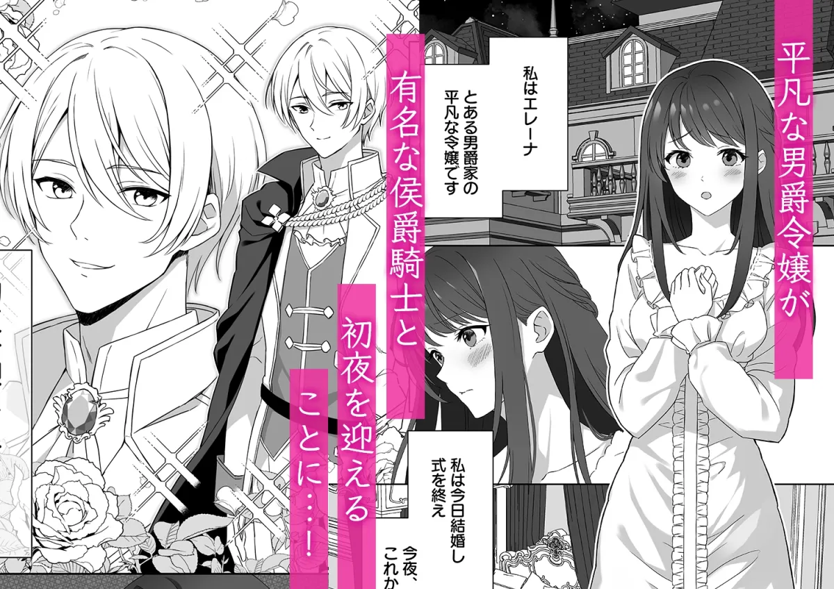 侯爵騎士様の媚薬お仕置きえっちに抗えない 侯爵騎士様の媚薬お仕置きえっちに抗えない