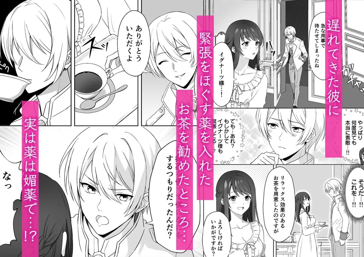 侯爵騎士様の媚薬お仕置きえっちに抗えない 侯爵騎士様の媚薬お仕置きえっちに抗えない