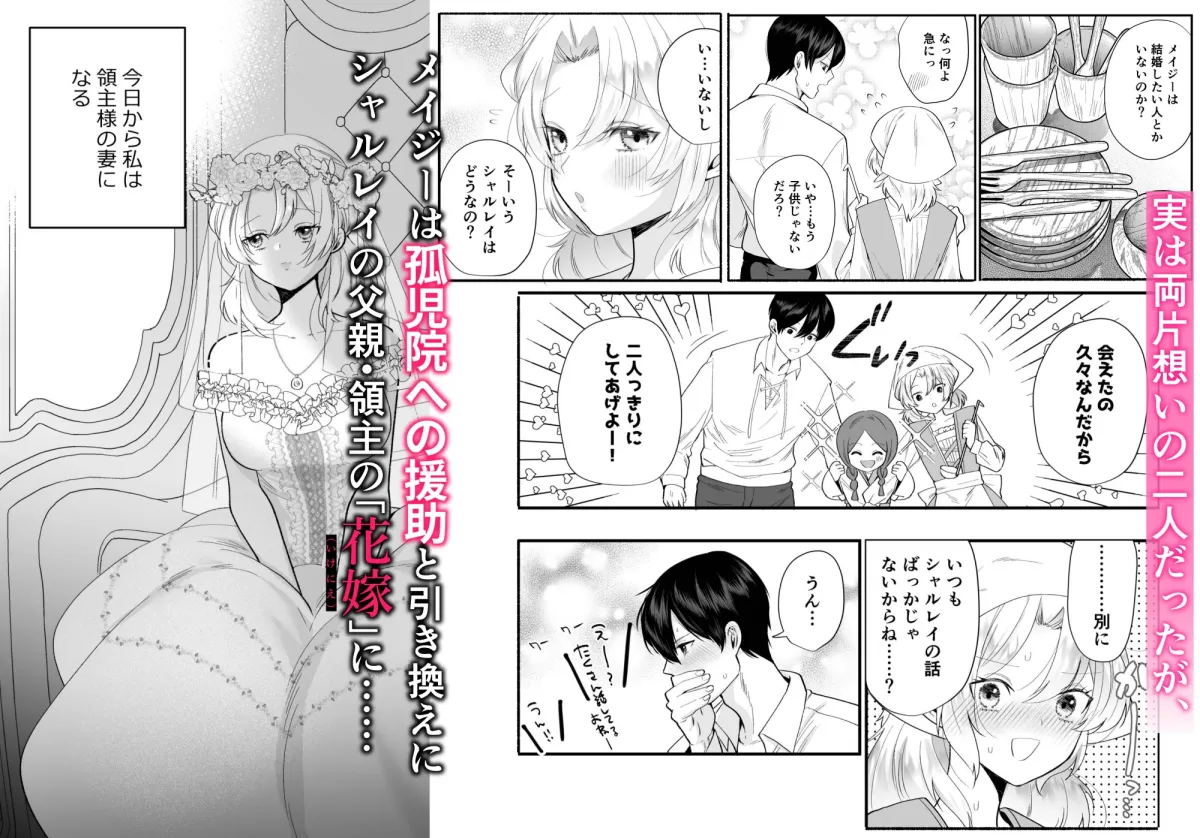 檻~略奪された花嫁~ 檻~略奪された花嫁~