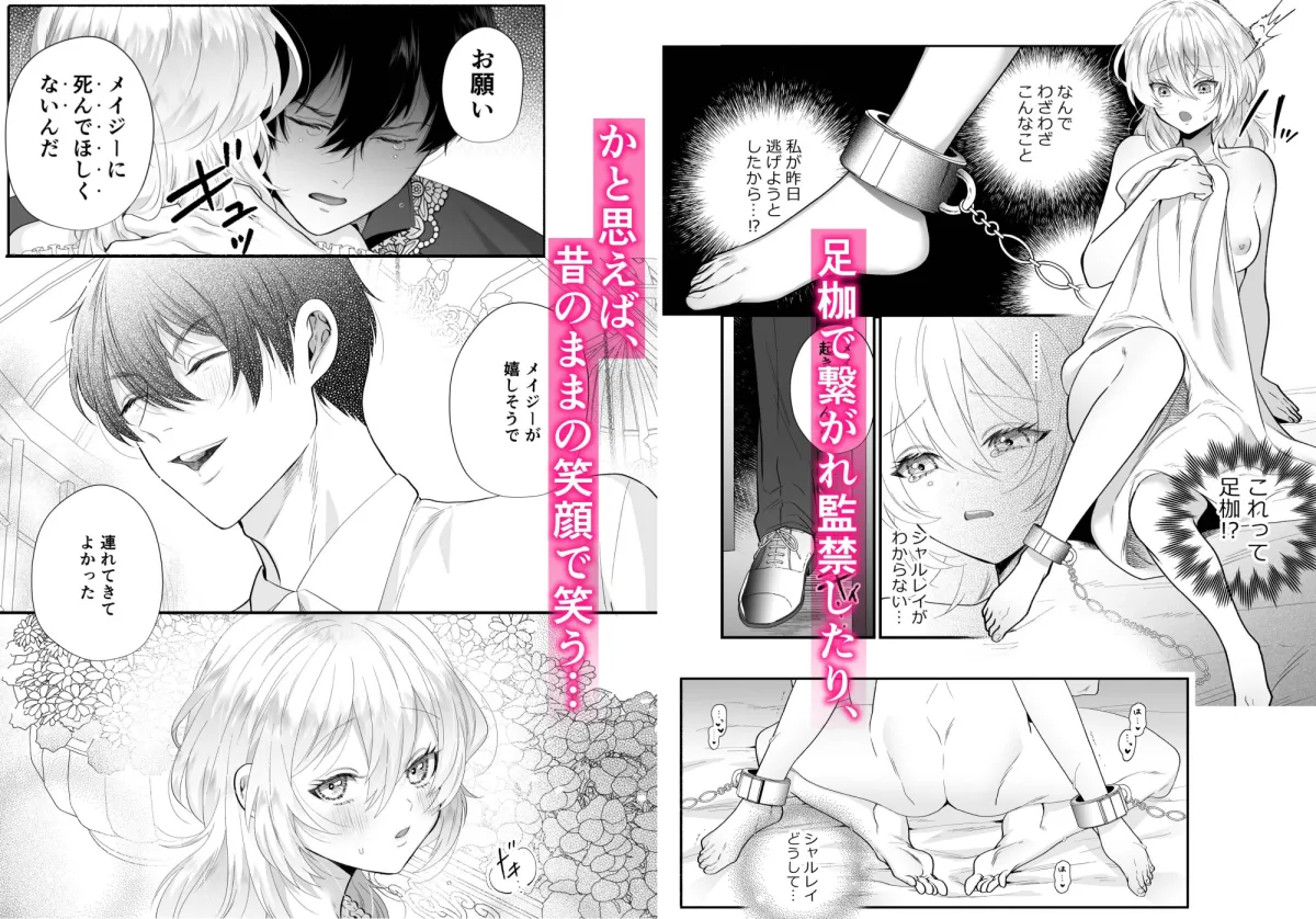 檻~略奪された花嫁~ 檻~略奪された花嫁~