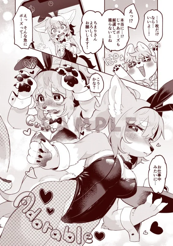 もふもふ恋こばこ