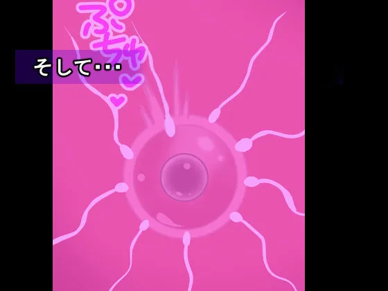 母ちゃんに任せなさい 母ちゃんに任せなさい