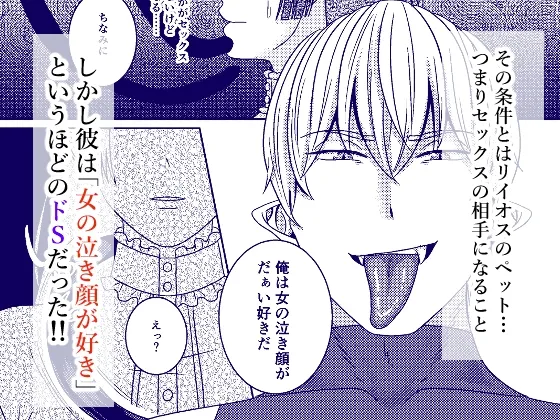 天才小説家と秘密の契約