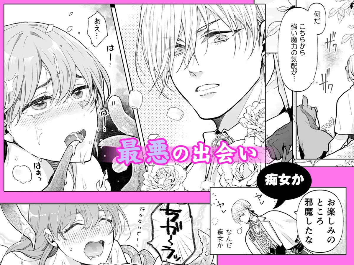 イジワル王子の命令は絶対!~転生聖女は寵愛されすぎて困ります~ イジワル王子の命令は絶対!~転生聖女は寵愛されすぎて困ります~