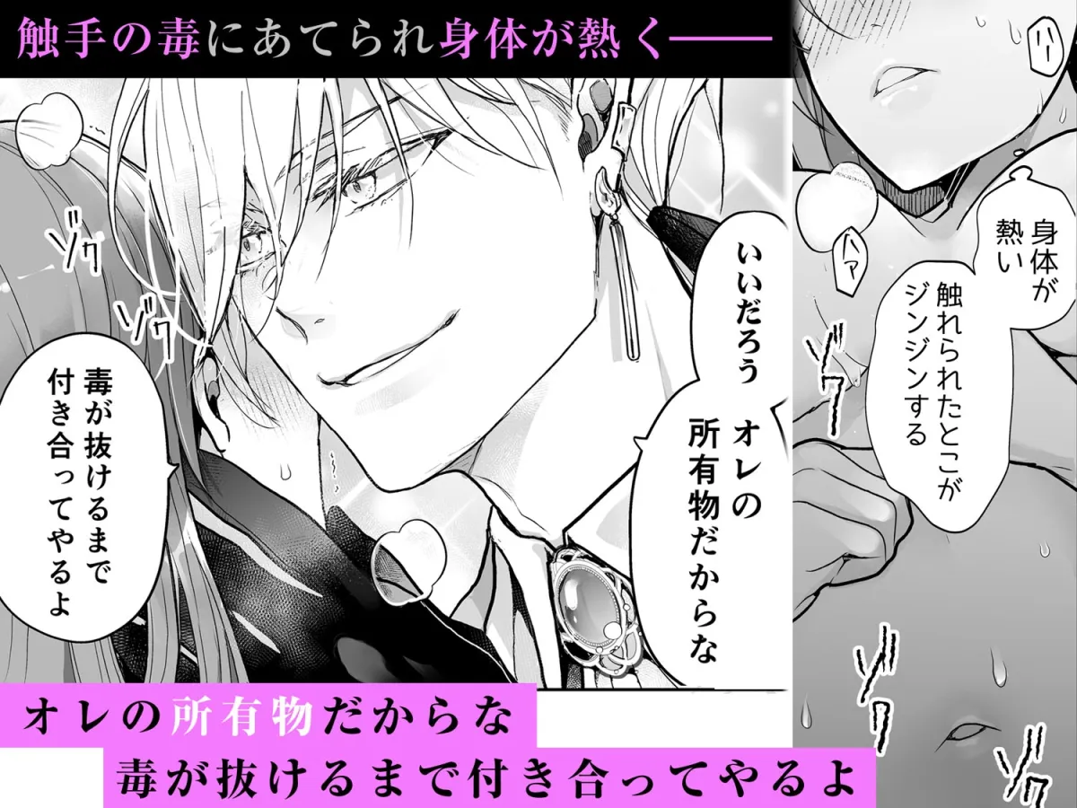 イジワル王子の命令は絶対!~転生聖女は寵愛されすぎて困ります~ イジワル王子の命令は絶対!~転生聖女は寵愛されすぎて困ります~