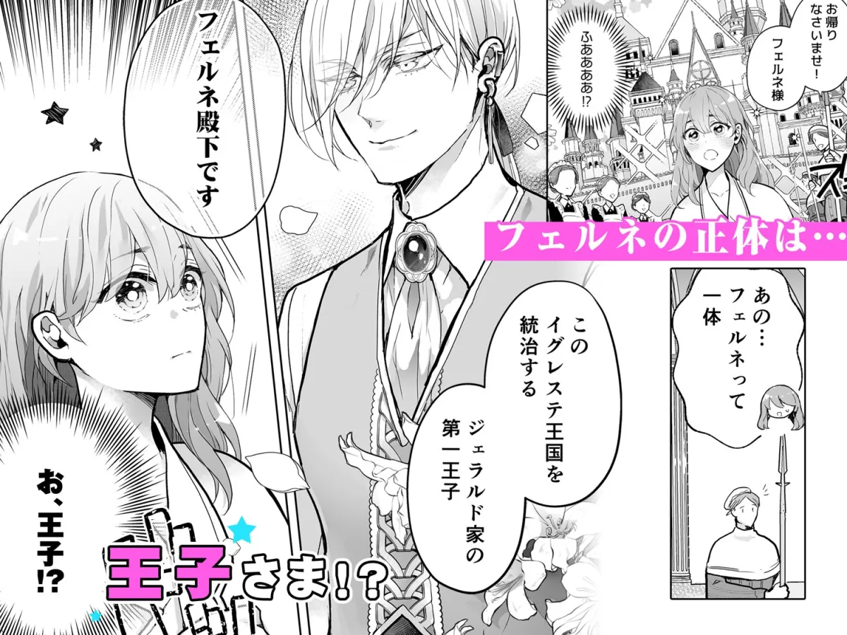 イジワル王子の命令は絶対!~転生聖女は寵愛されすぎて困ります~ イジワル王子の命令は絶対!~転生聖女は寵愛されすぎて困ります~