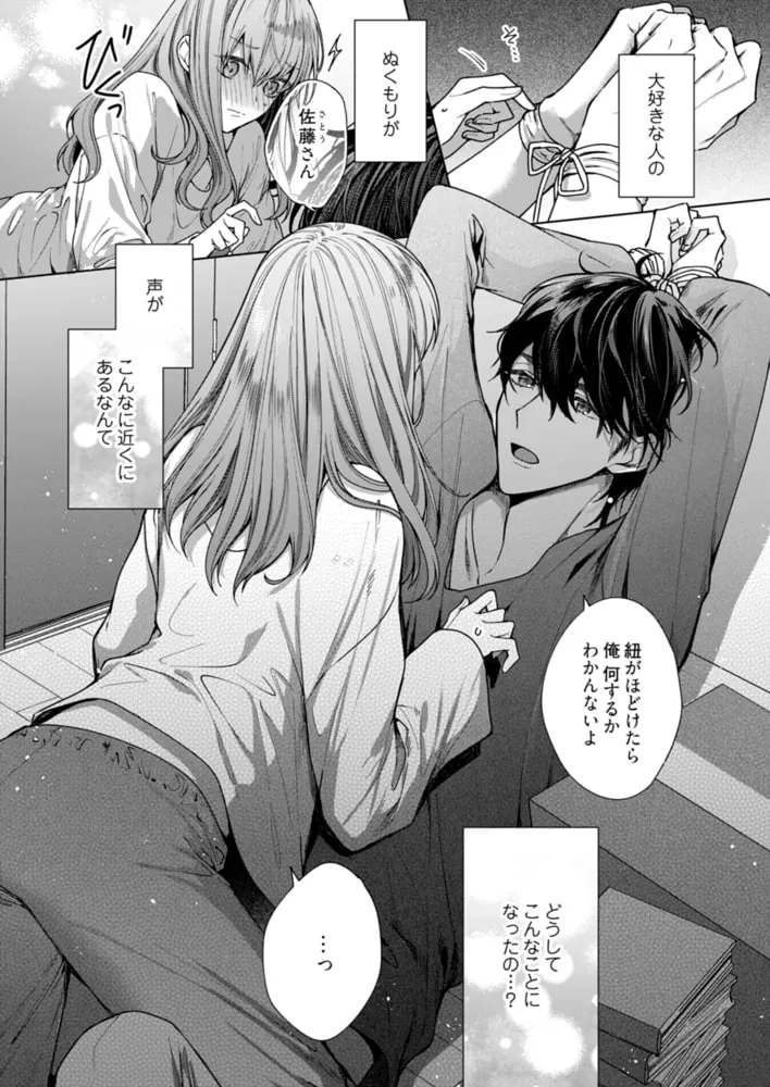 キスでふさいで、バレないで。【描き下ろしおまけ付き特装版】 キスでふさいで、バレないで。【描き下ろしおまけ付き特装版】