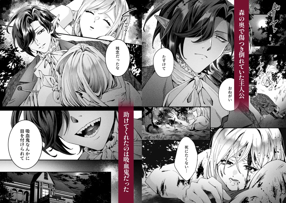 被虐の証~強がりメイドは吸血鬼の思うがまま~ 被虐の証~強がりメイドは吸血鬼の思うがまま~