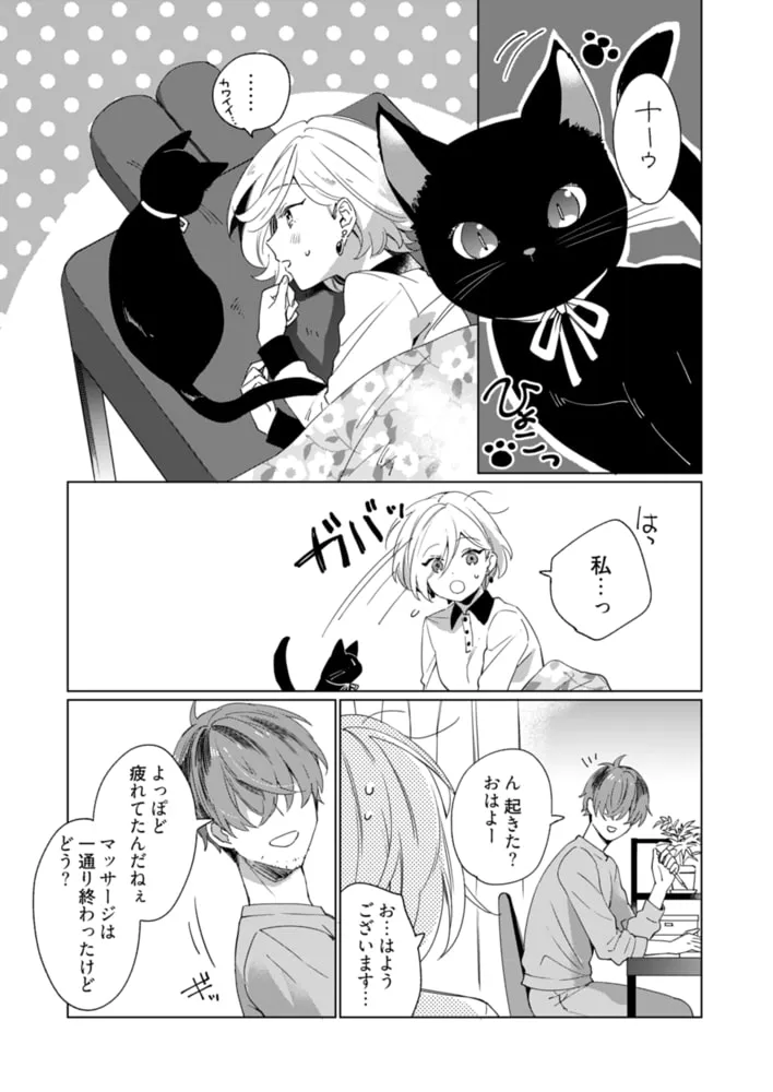 オジサマ整体師はやらしい指で私を愛でる【描き下ろしおまけ付き特装版】