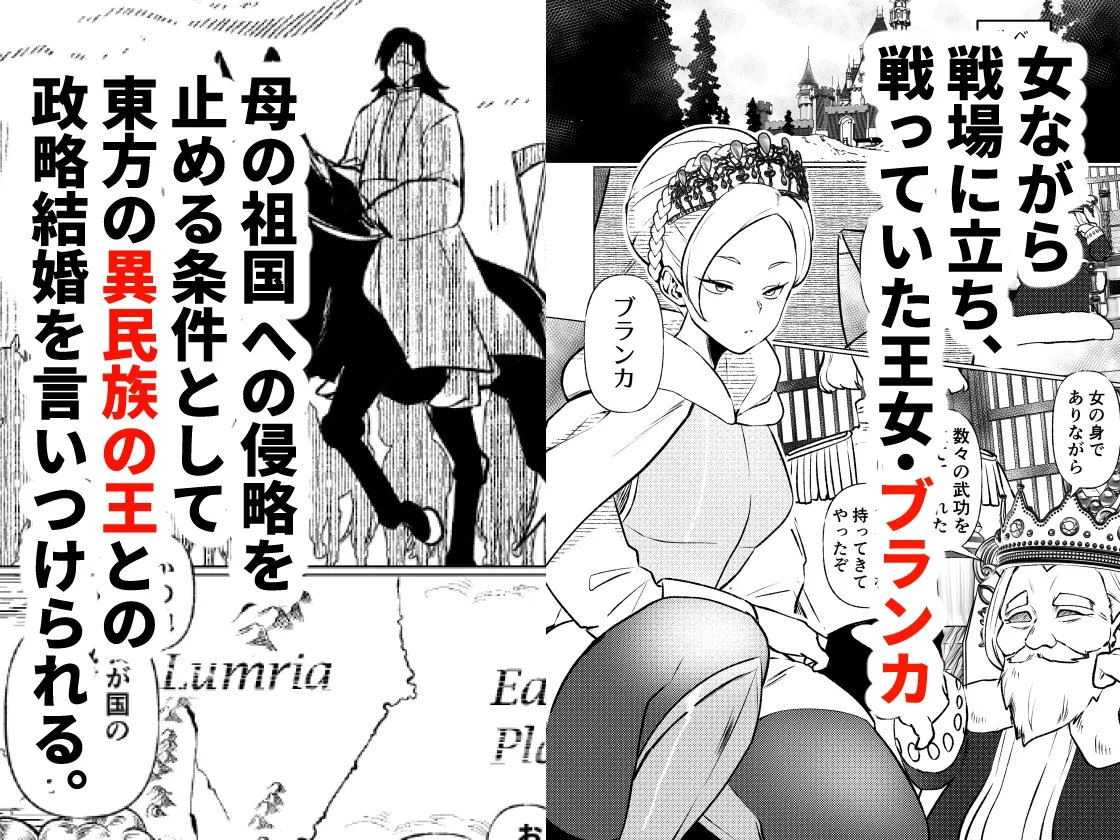 姫騎士王女、異民族の王に愛される。 姫騎士王女、異民族の王に愛される。