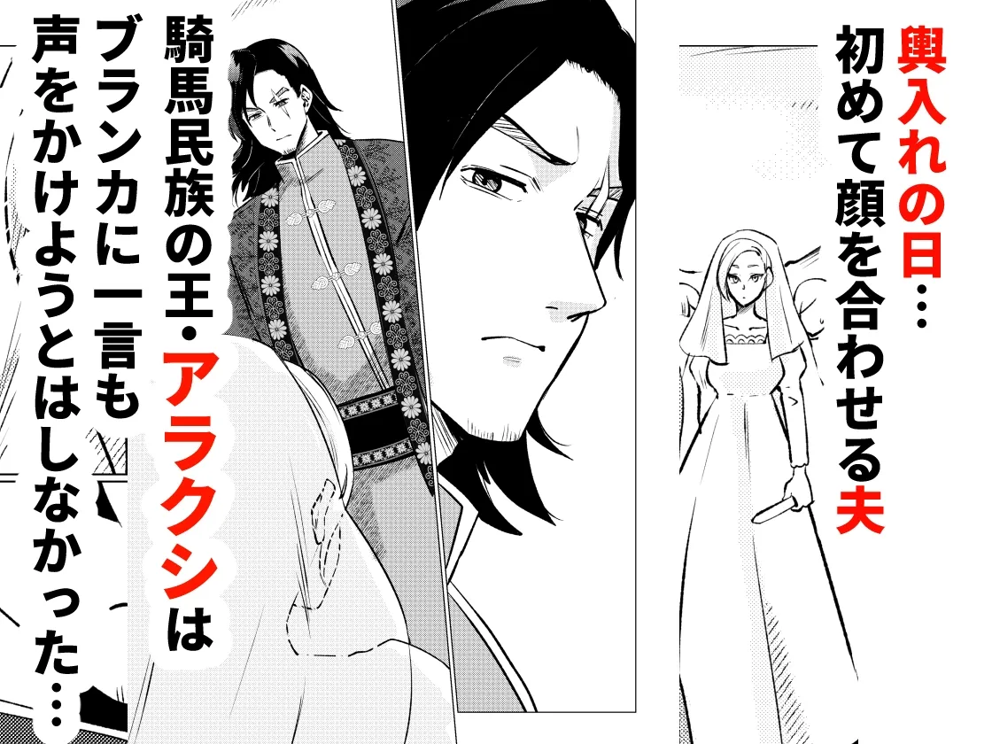 姫騎士王女、異民族の王に愛される。 姫騎士王女、異民族の王に愛される。