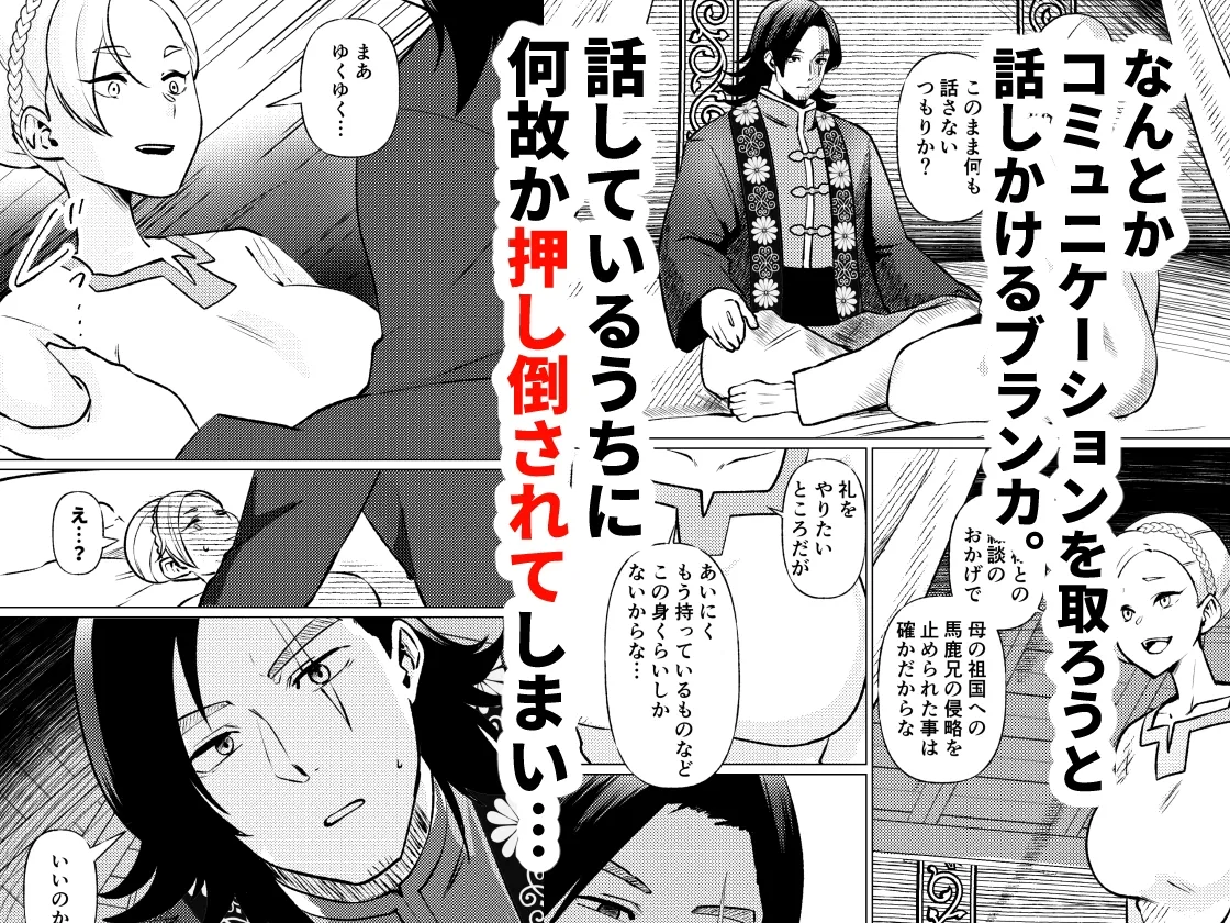 姫騎士王女、異民族の王に愛される。 姫騎士王女、異民族の王に愛される。