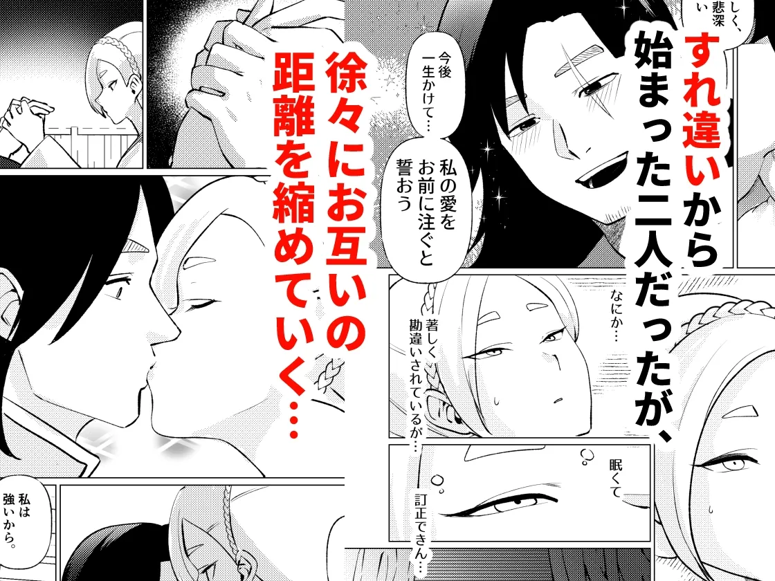 姫騎士王女、異民族の王に愛される。 姫騎士王女、異民族の王に愛される。