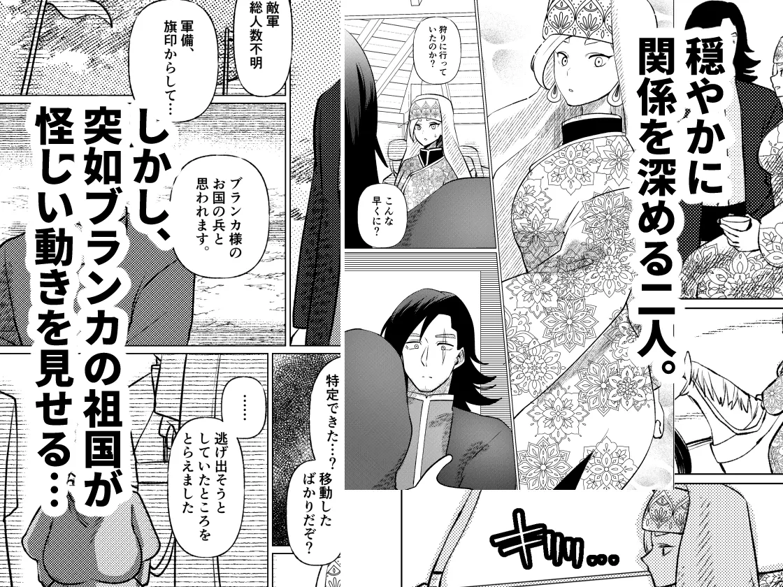 姫騎士王女、異民族の王に愛される。 姫騎士王女、異民族の王に愛される。