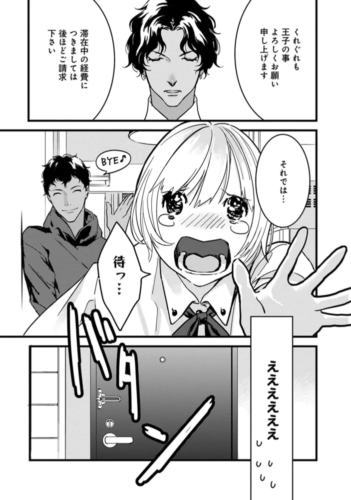 わたしの王子さま【単行本版】（1）