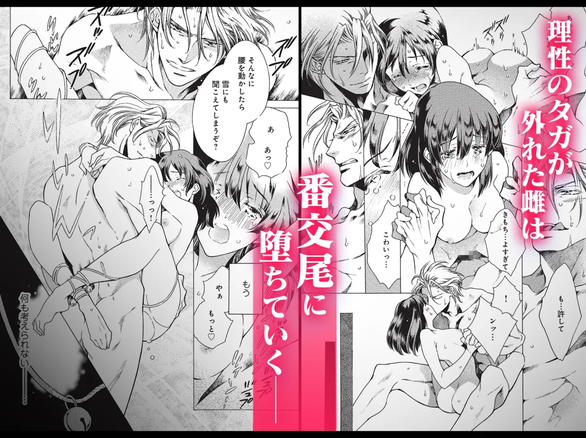 官能小説家一条烈の豹変調教 官能小説家一条烈の豹変調教