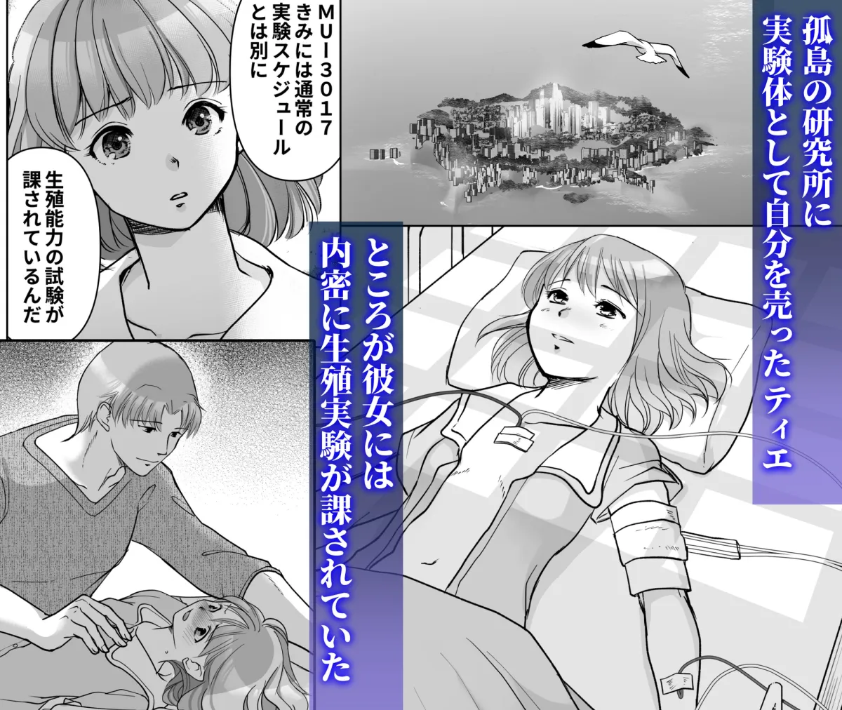 森の瞳のモルモット 森の瞳のモルモット