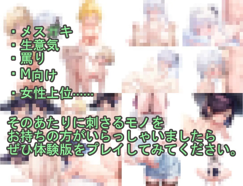 淫魔より淫増してるメスガキ村〜Lv99のメスガキ〜