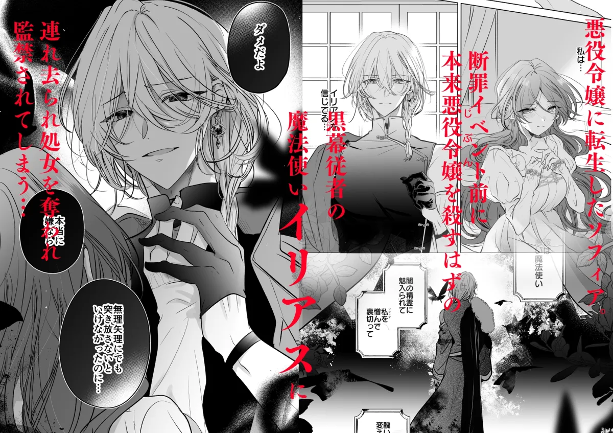 魔術師の偏愛2-BADRoute-