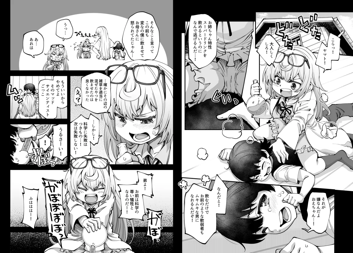 全部お姉ちゃんのせいだから 全部お姉ちゃんのせいだから