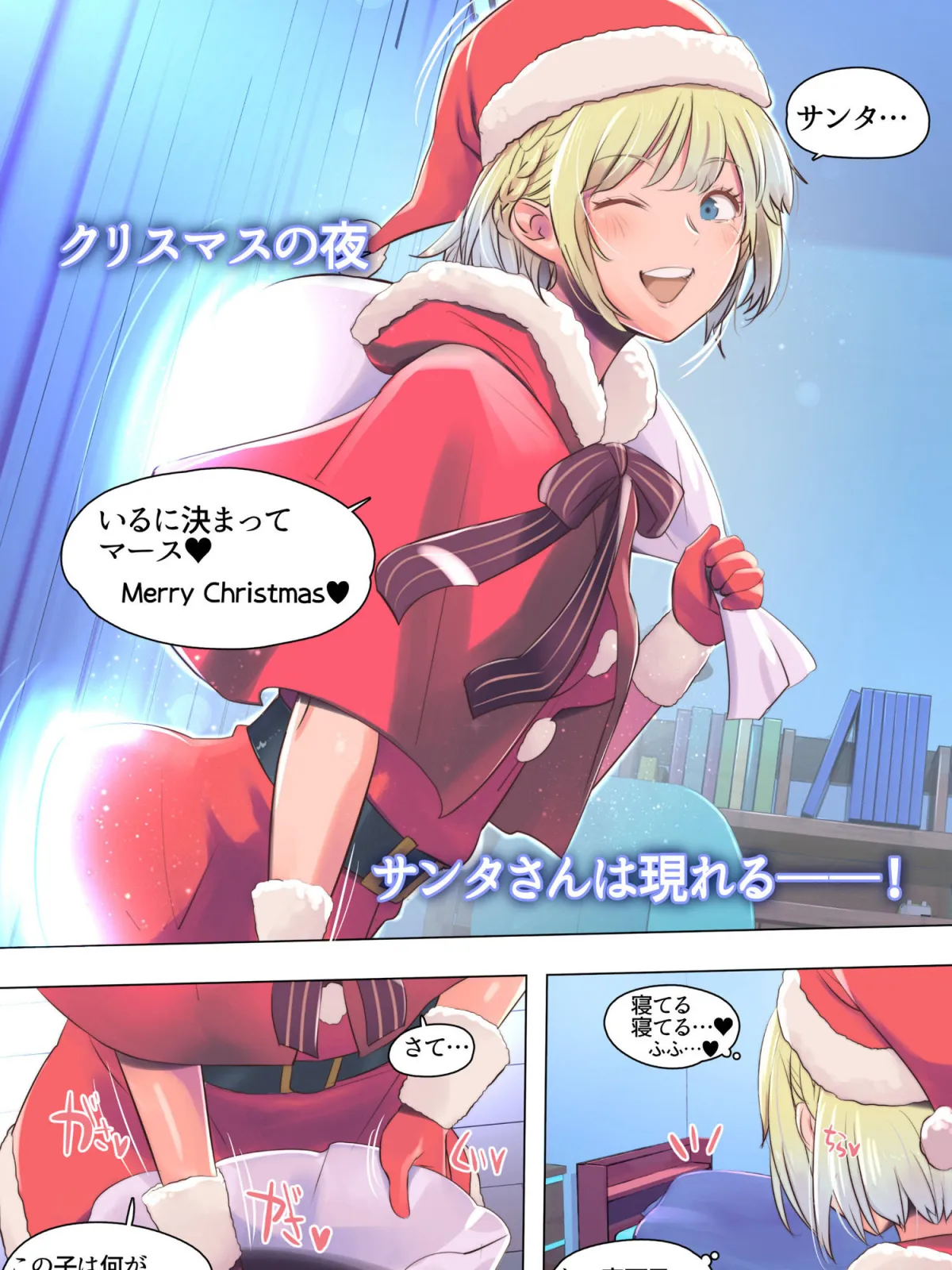 僕の部屋にやってきた可愛いサンタさんを落とす 僕の部屋にやってきた可愛いサンタさんを落とす