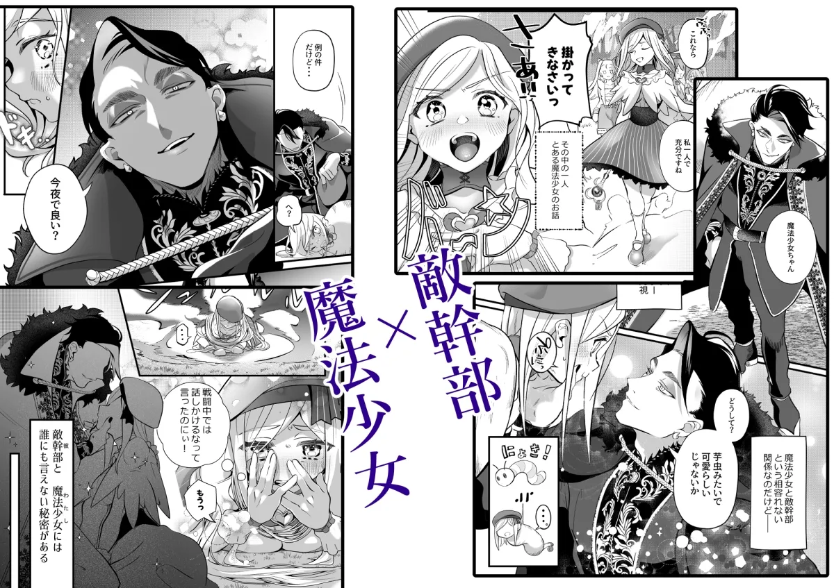 さよなら魔法少女2～敵幹部と私の極秘密会バトル～