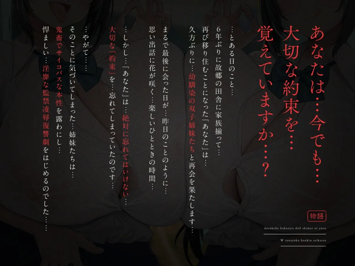 【8/24日まで 早期限定11大特典】【3時間半×WドS姉妹×W監禁陵辱】6年ぶりの田舎に帰郷したボクは幼馴染に犯され貪り尽くされる…ドスケベ爆乳ドS姉妹のW陵辱監禁性活♪ 【8/24日まで 早期限定11大特典】【3時間半×WドS姉妹×W監禁陵辱】6年ぶりの田舎に帰郷したボクは幼馴染に犯され貪り尽くされる…ドスケベ爆乳ドS姉妹のW陵辱監禁性活♪