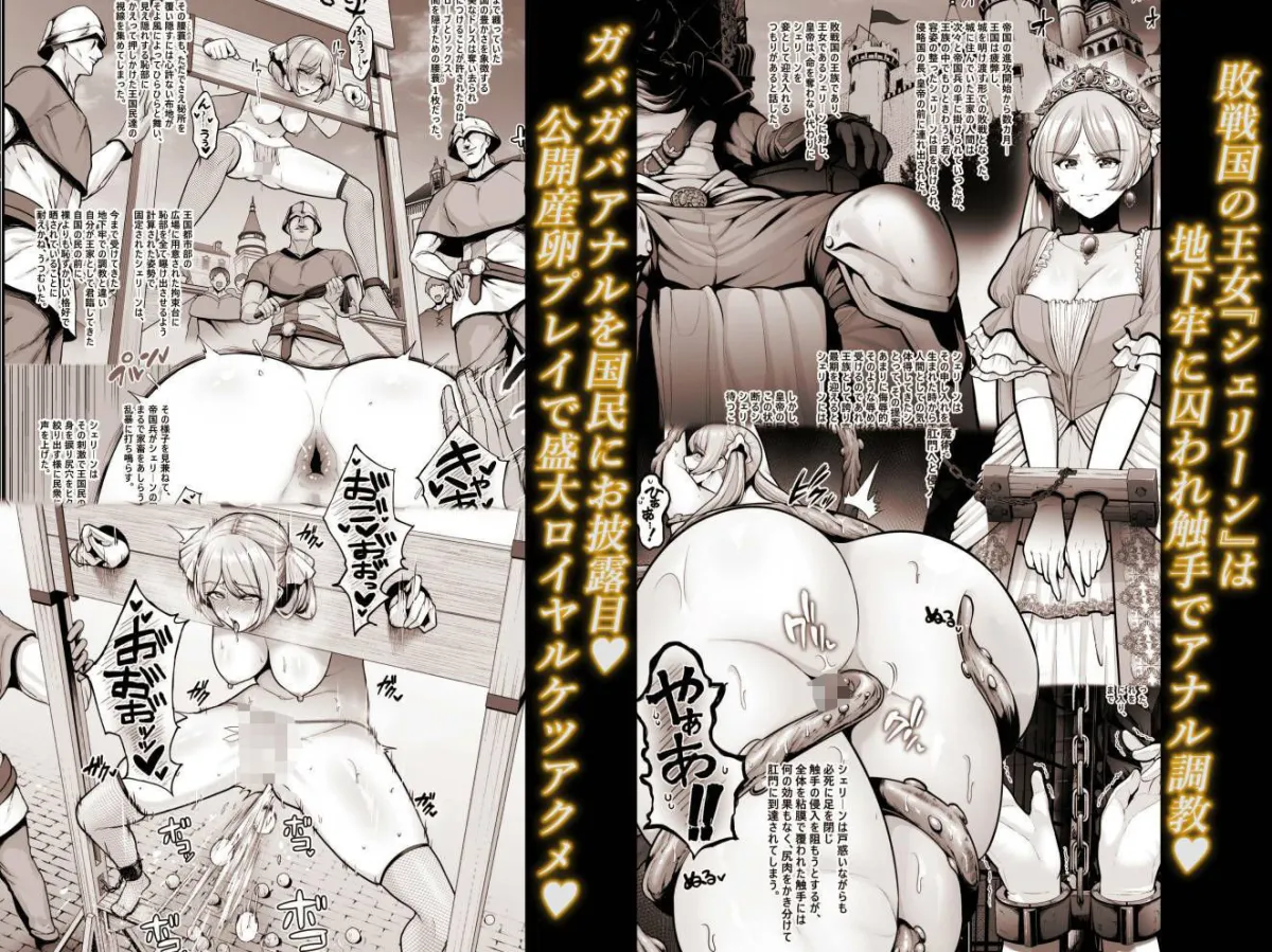 国辱の雌隷 -Fallen kingdom- 国辱の雌隷 -Fallen kingdom-