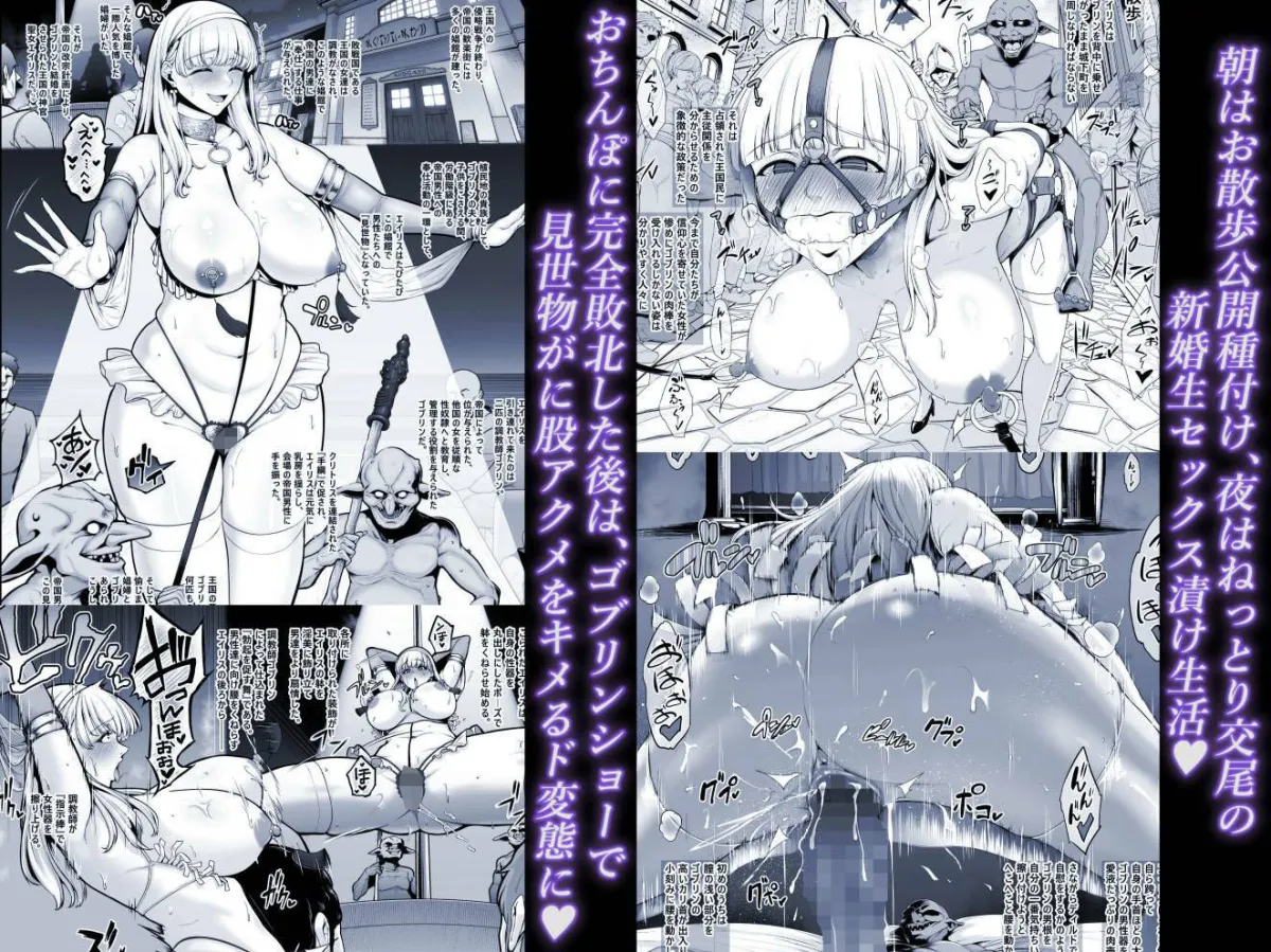 国辱の雌隷 -Fallen kingdom- 国辱の雌隷 -Fallen kingdom-