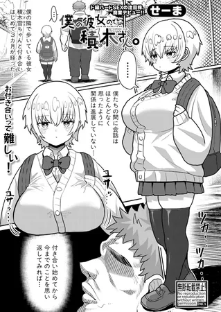 僕の彼女の積木さん。