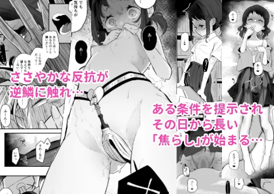 高校生からはじめるメス犬教育 chapter2