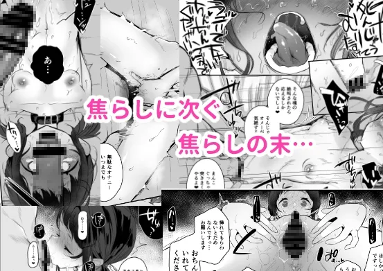 高校生からはじめるメス犬教育 chapter2