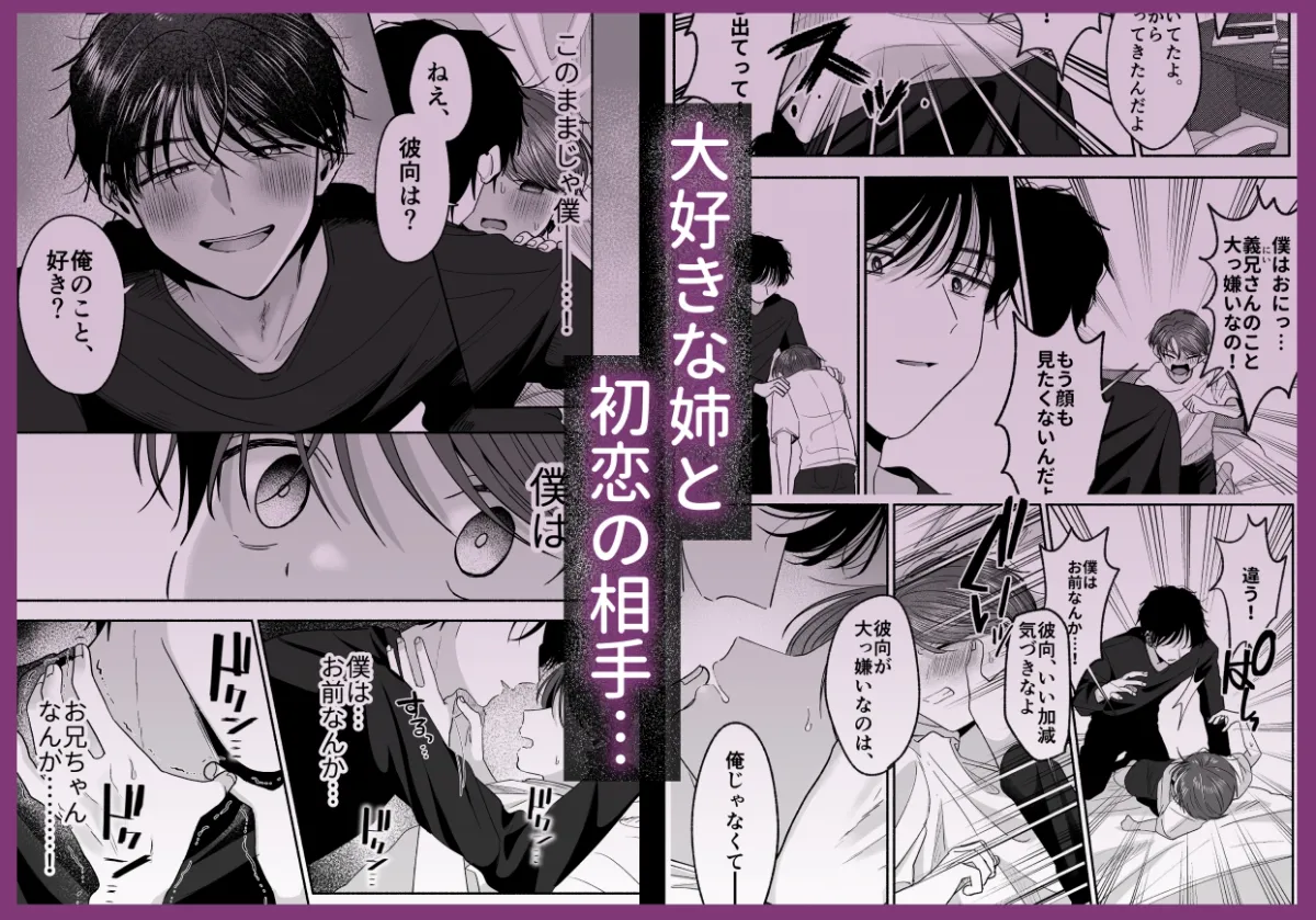 お義兄ちゃんなんか好きじゃない お義兄ちゃんなんか好きじゃない