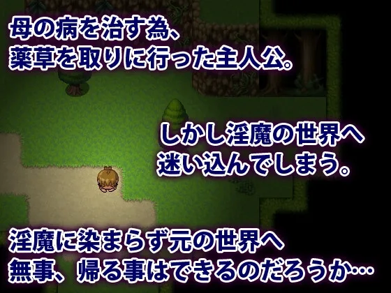 淫魔界に堕ちたボク 淫魔界に堕ちたボク