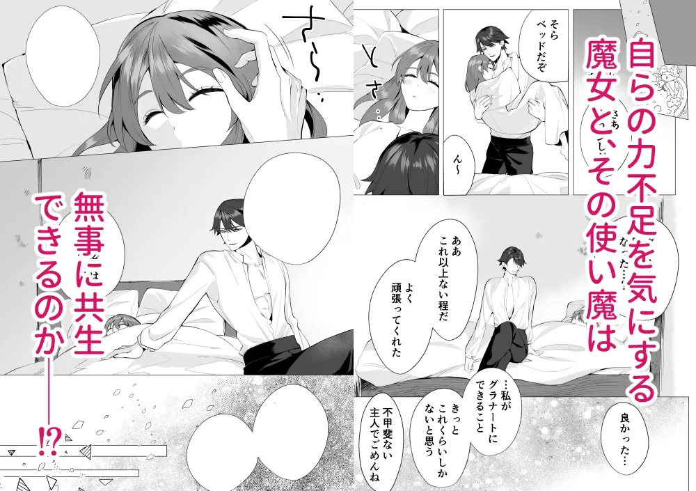 おしかけ使い魔は魔界のプリンス