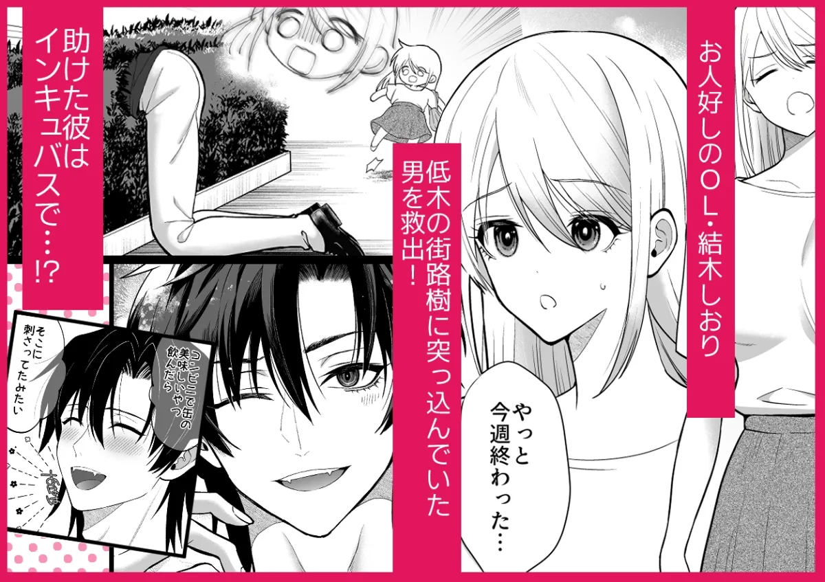 インキュバスを助けたら溺愛されすぎて逃げられなくなりました インキュバスを助けたら溺愛されすぎて逃げられなくなりました