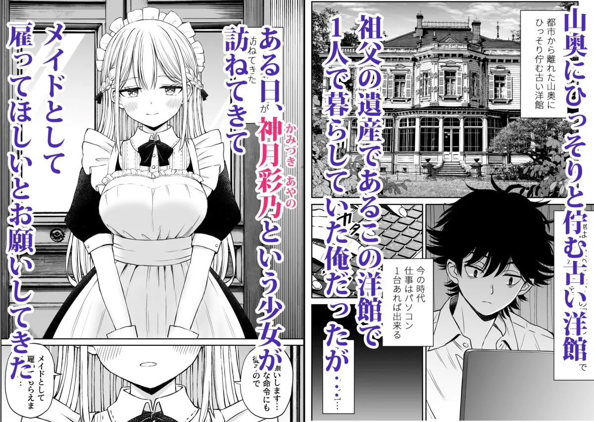 柔らかメイドのご奉仕セックス 柔らかメイドのご奉仕セックス