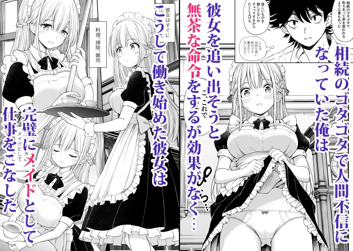 柔らかメイドのご奉仕セックス 柔らかメイドのご奉仕セックス