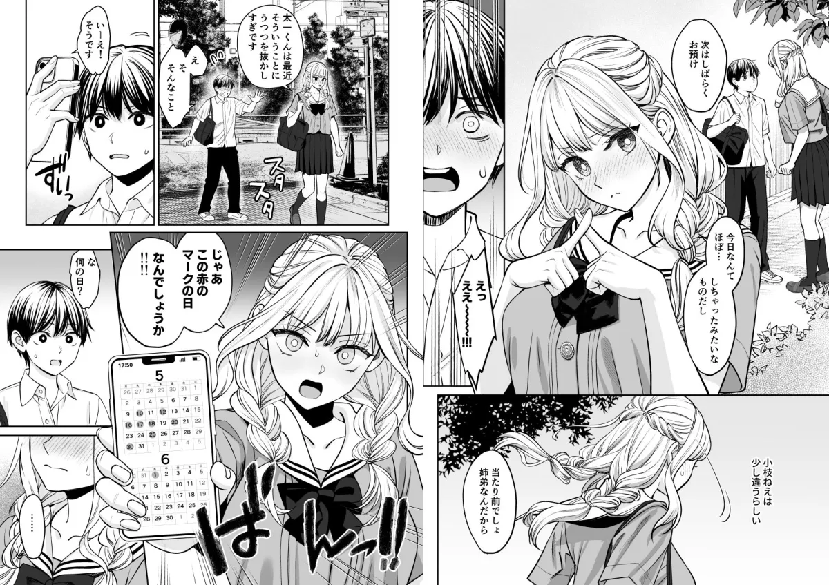 姉弟以外になれたなら 姉弟以外になれたなら