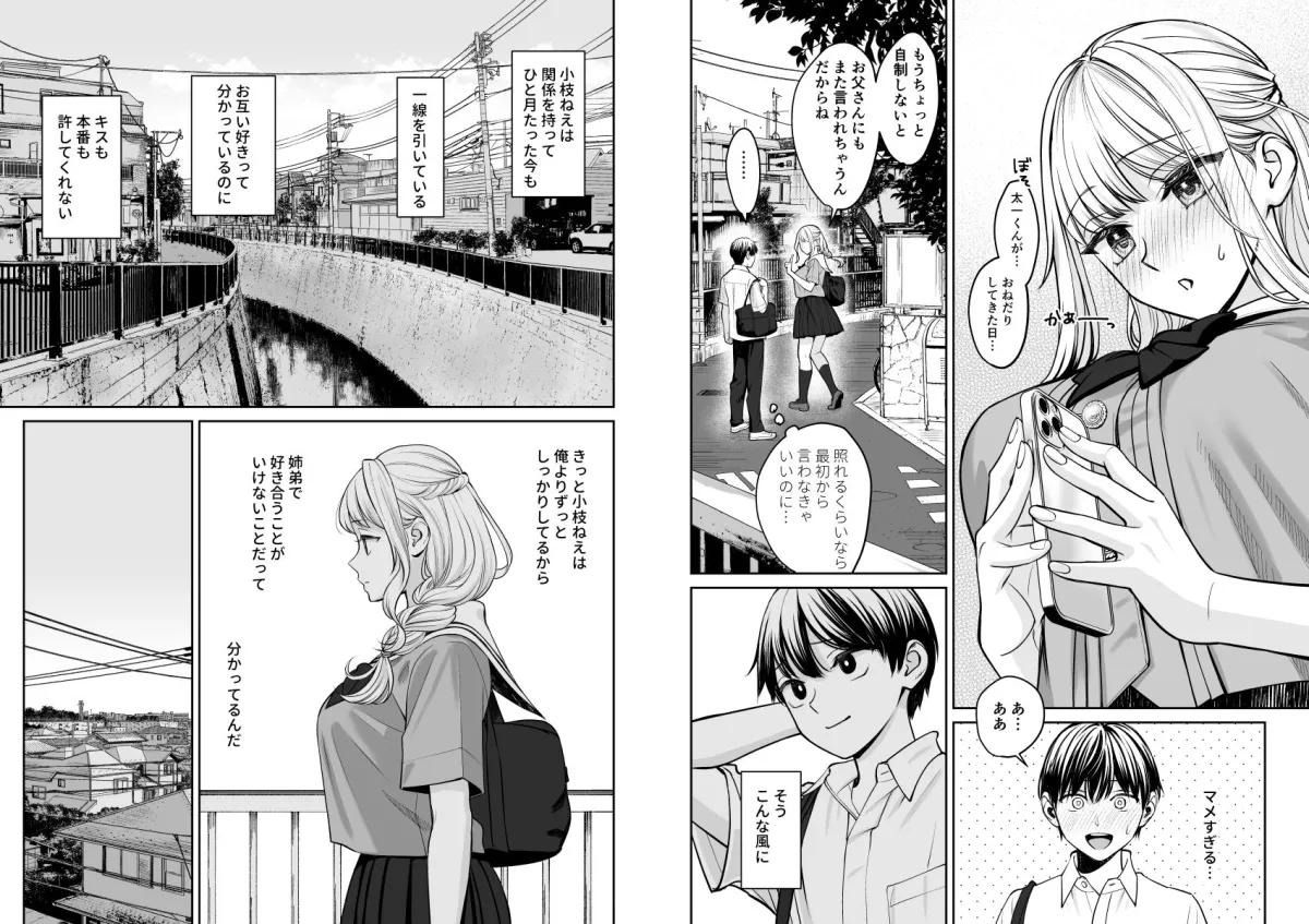 姉弟以外になれたなら 姉弟以外になれたなら